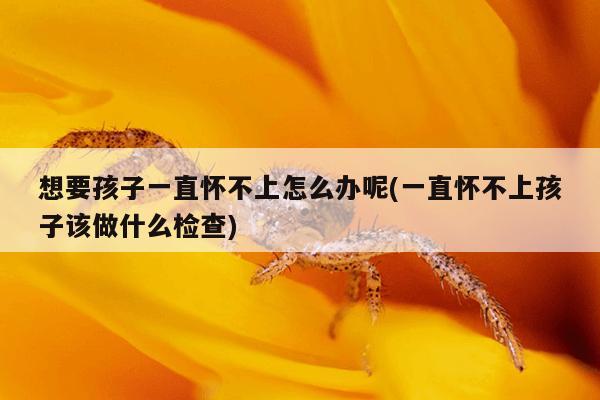 想要孩子一直怀不上怎么办呢(一直怀不上孩子该做什么检查)