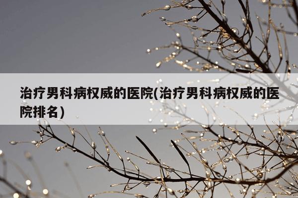 治疗男科病权威的医院(治疗男科病权威的医院排名)