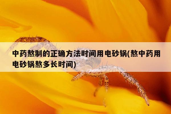 中药熬制的正确方法时间用电砂锅(熬中药用电砂锅熬多长时间)