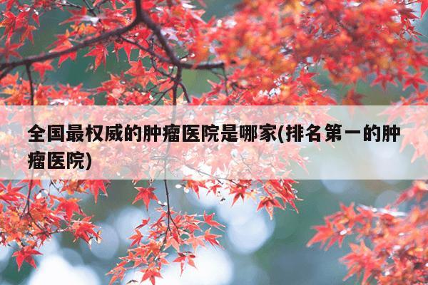 全国最权威的肿瘤医院是哪家(排名第一的肿瘤医院)