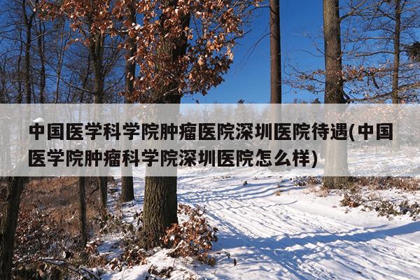 中国医学科学院肿瘤医院深圳医院待遇(中国医学院肿瘤科学院深圳医院怎么样)