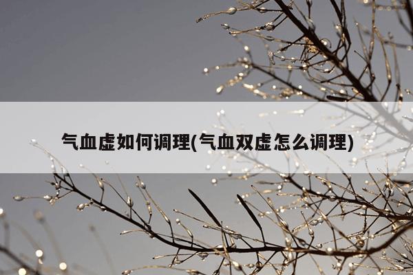 气血虚如何调理(气血双虚怎么调理)