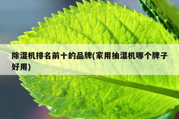 除湿机排名前十的品牌(家用抽湿机哪个牌子好用)