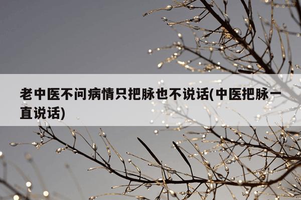 老中医不问病情只把脉也不说话(中医把脉一直说话)