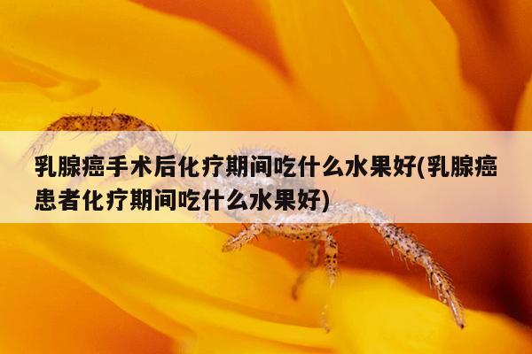 乳腺癌手术后化疗期间吃什么水果好(乳腺癌患者化疗期间吃什么水果好)