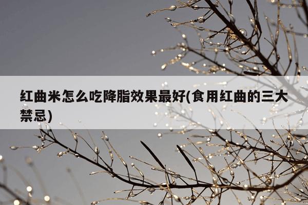红曲米怎么吃降脂效果最好(食用红曲的三大禁忌)