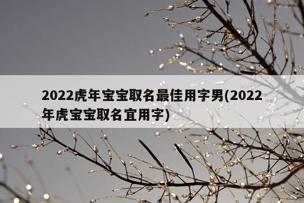 2022虎年宝宝取名最佳用字男(2022年虎宝宝取名宜用字)