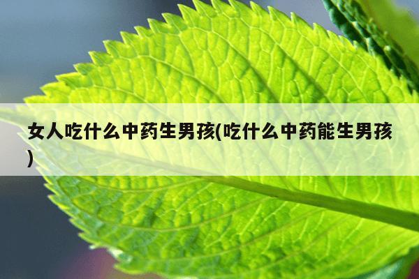 女人吃什么中药生男孩(吃什么中药能生男孩)