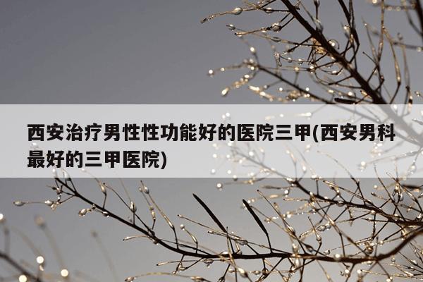 西安治疗男性性功能好的医院三甲(西安男科最好的三甲医院)