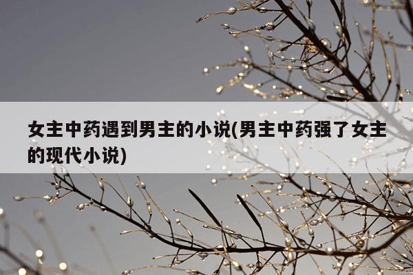 女主中药遇到男主的小说(男主中药强了女主的现代小说)
