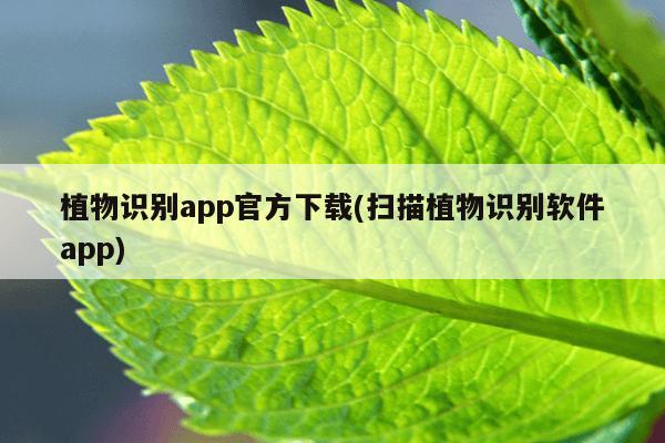 植物识别app官方下载(扫描植物识别软件app)