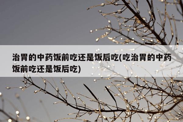 治胃的中药饭前吃还是饭后吃(吃治胃的中药饭前吃还是饭后吃)