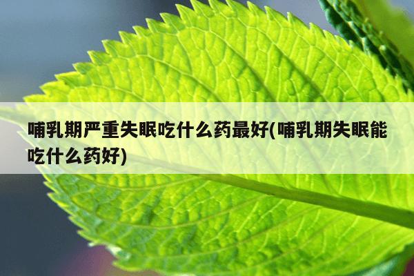 哺乳期严重失眠吃什么药最好(哺乳期失眠能吃什么药好)