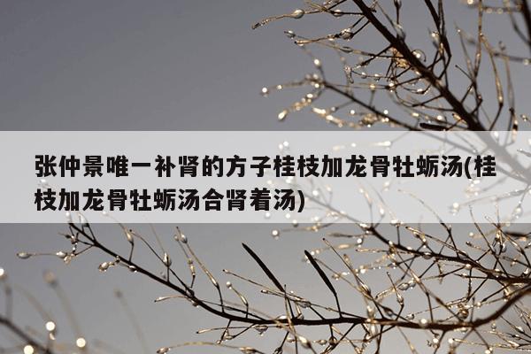 张仲景唯一补肾的方子桂枝加龙骨牡蛎汤(桂枝加龙骨牡蛎汤合肾着汤)
