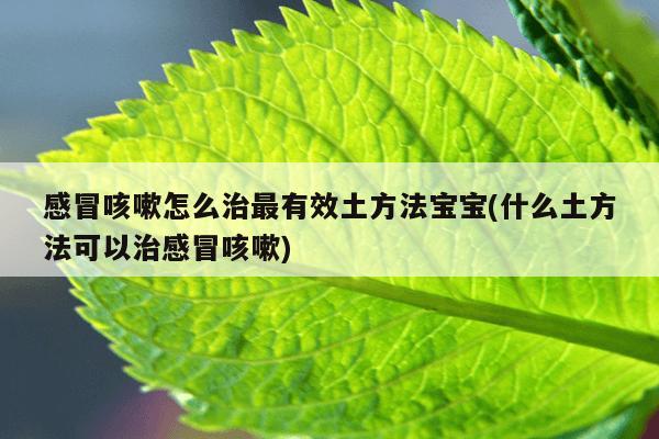 感冒咳嗽怎么治最有效土方法宝宝(什么土方法可以治感冒咳嗽)