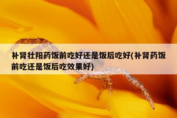 补肾壮阳药饭前吃好还是饭后吃好(补肾药饭前吃还是饭后吃效果好)