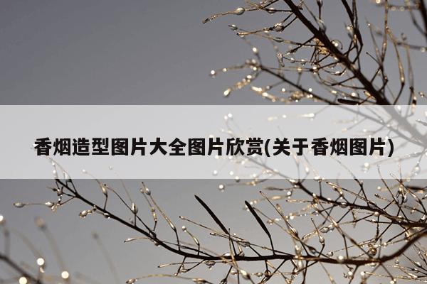香烟造型图片大全图片欣赏(关于香烟图片)