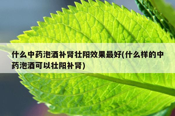 什么中药泡酒补肾壮阳效果最好(什么样的中药泡酒可以壮阳补肾)