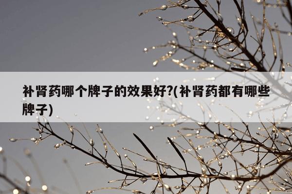 补肾药哪个牌子的效果好?(补肾药都有哪些牌子)