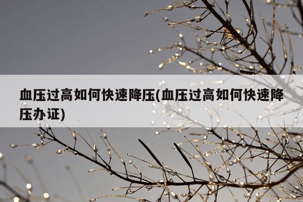 血压过高如何快速降压(血压过高如何快速降压办证)