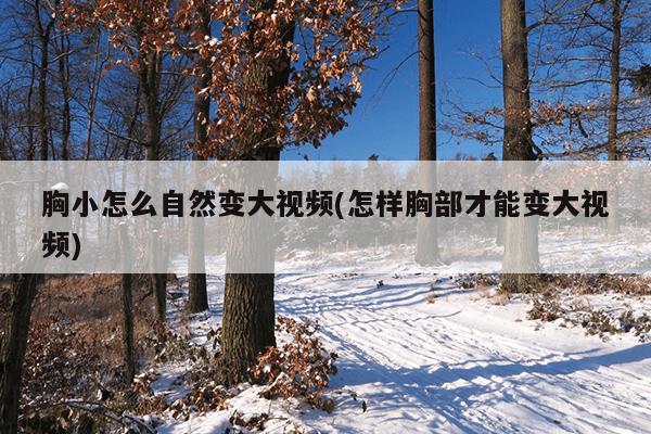 胸小怎么自然变大视频(怎样胸部才能变大视频)