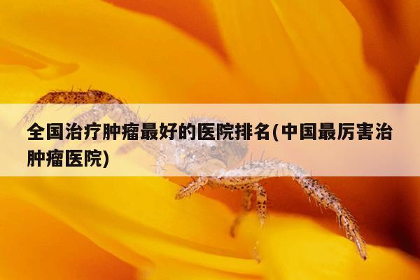 全国治疗肿瘤最好的医院排名(中国最厉害治肿瘤医院)