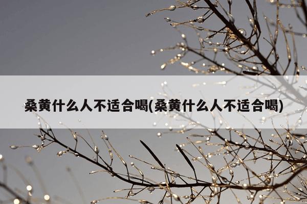 桑黄什么人不适合喝(桑黄什么人不适合喝)