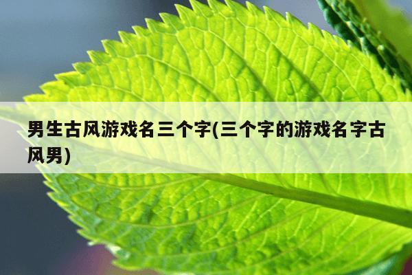 男生古风游戏名三个字(三个字的游戏名字古风男)