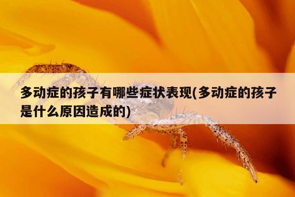 多动症的孩子有哪些症状表现(多动症的孩子是什么原因造成的)