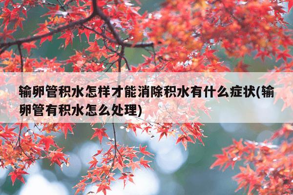 输卵管积水怎样才能消除积水有什么症状(输卵管有积水怎么处理)