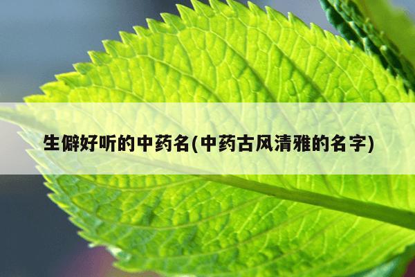 生僻好听的中药名(中药古风清雅的名字)