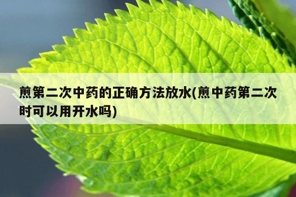 煎第二次中药的正确方法放水(煎中药第二次时可以用开水吗)