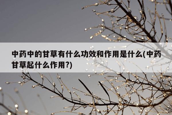 中药中的甘草有什么功效和作用是什么(中药甘草起什么作用?)