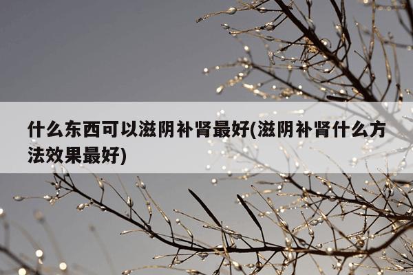 什么东西可以滋阴补肾最好(滋阴补肾什么方法效果最好)