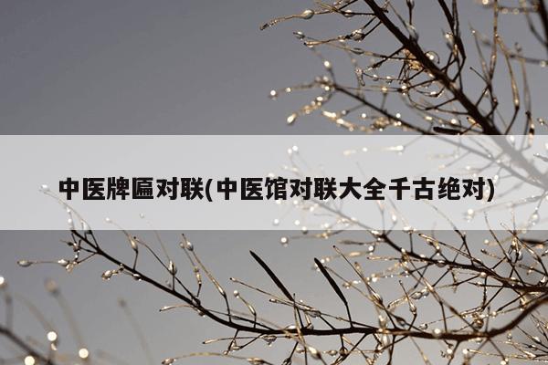 中医牌匾对联(中医馆对联大全千古绝对)