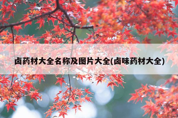 卤药材大全名称及图片大全(卤味药材大全)