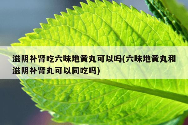 滋阴补肾吃六味地黄丸可以吗(六味地黄丸和滋阴补肾丸可以同吃吗)