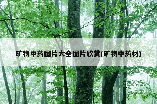 矿物中药图片大全图片欣赏(矿物中药材)