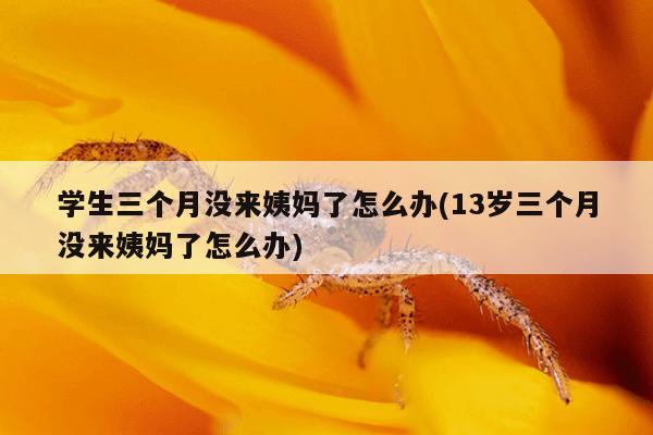 学生三个月没来姨妈了怎么办(13岁三个月没来姨妈了怎么办)