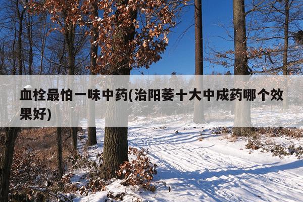 血栓最怕一味中药(治阳萎十大中成药哪个效果好)