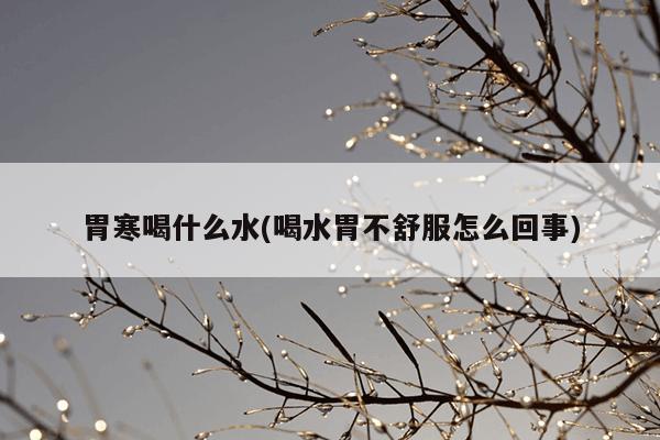 胃寒喝什么水(喝水胃不舒服怎么回事)