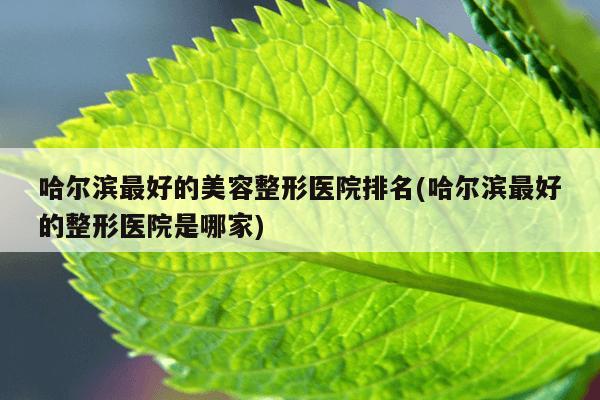 哈尔滨最好的美容整形医院排名(哈尔滨最好的整形医院是哪家)