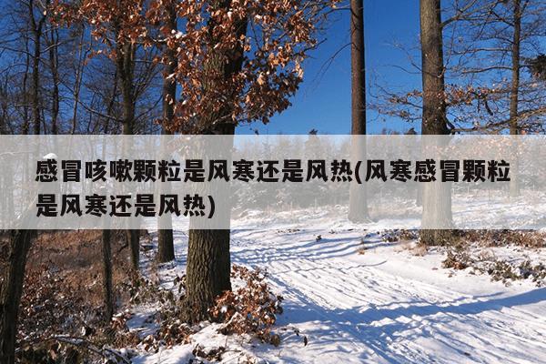 感冒咳嗽颗粒是风寒还是风热(风寒感冒颗粒是风寒还是风热)