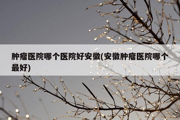 肿瘤医院哪个医院好安徽(安徽肿瘤医院哪个最好)