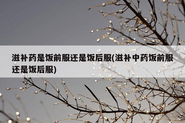 滋补药是饭前服还是饭后服(滋补中药饭前服还是饭后服)