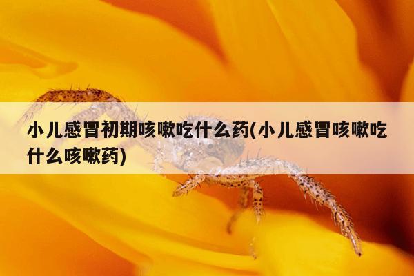 小儿感冒初期咳嗽吃什么药(小儿感冒咳嗽吃什么咳嗽药)