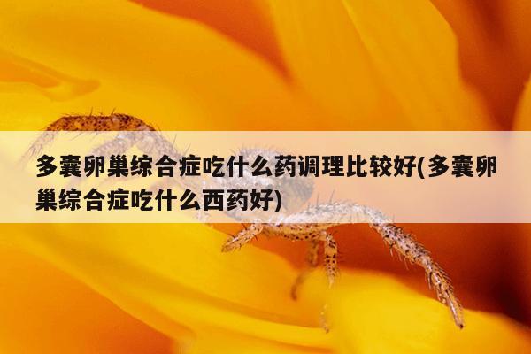 多囊卵巢综合症吃什么药调理比较好(多囊卵巢综合症吃什么西药好)