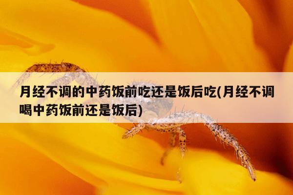 月经不调的中药饭前吃还是饭后吃(月经不调喝中药饭前还是饭后)
