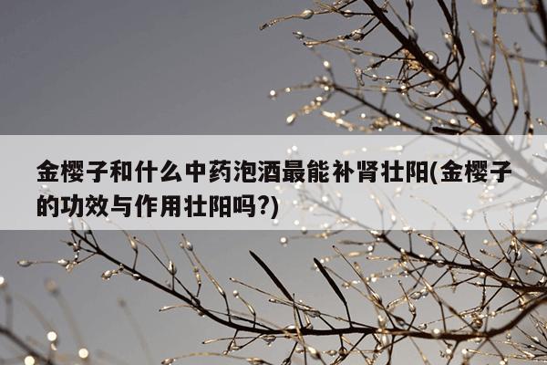 金樱子和什么中药泡酒最能补肾壮阳(金樱子的功效与作用壮阳吗?)