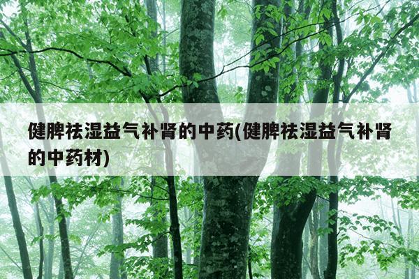 健脾祛湿益气补肾的中药(健脾祛湿益气补肾的中药材)